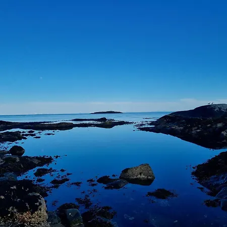 The High End Of Lofoten- With Sauna * Moskenes